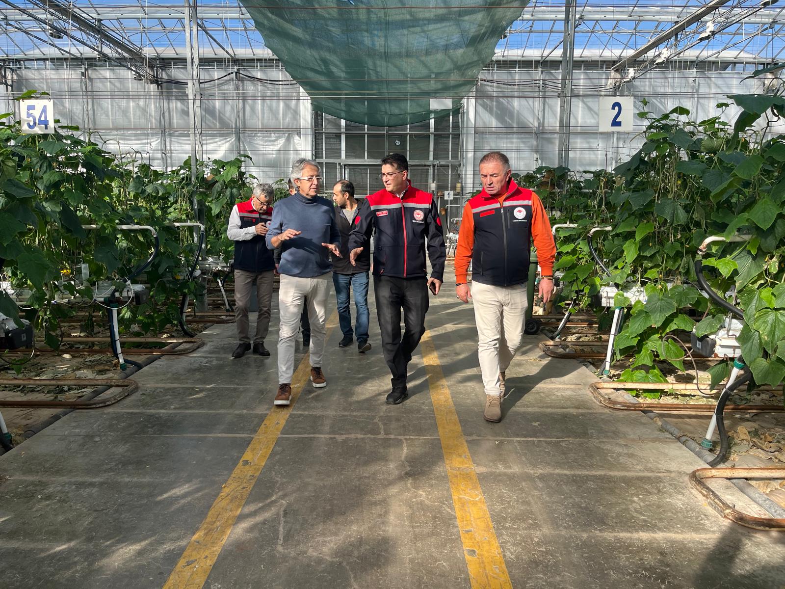 İl Müdürü Mehmet AKSOY Sebze ve Süs Bitkisi Üretim Tesisini Ziyaret Etti